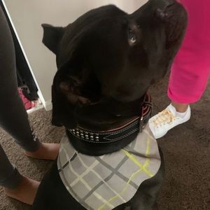 Meet your Posher, Georgette